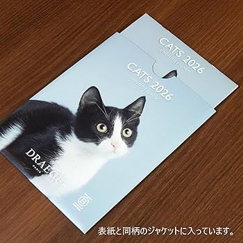 Amazon | ドレジャー 2026年 スモールカレンダー 猫 動物 壁掛け